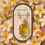 N'Chant Champaca car diffuser 10ml bottle with wooden cap on cream card surrounded by champa flowers