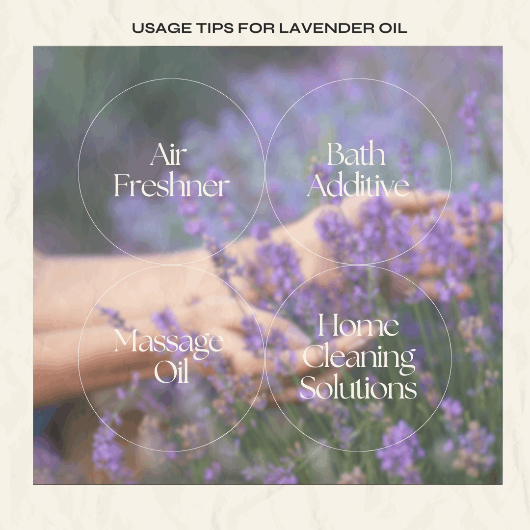 Lavender Essential Oil