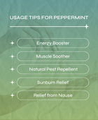 Peppermint Essential Oil