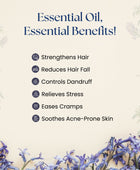 Rosemary Essential Oil