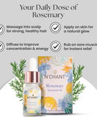 N'Chant’s Rosemary Essential Oil for Hair, Skin & Aromatherapy